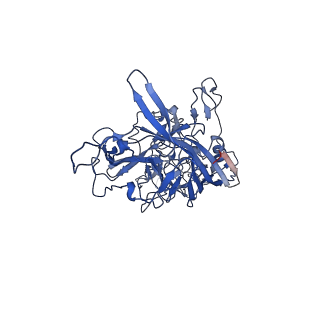 26393_7u97_s_v1-3
SAAV pH 4.0 capsid structure