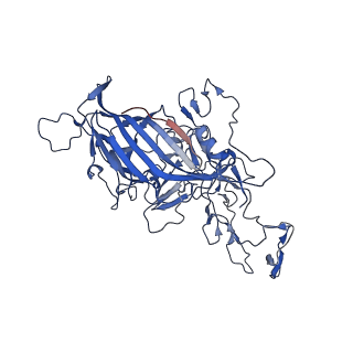 26393_7u97_t_v1-3
SAAV pH 4.0 capsid structure