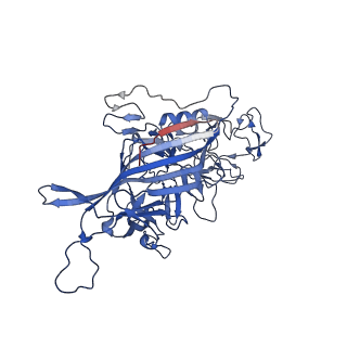 26393_7u97_x_v1-3
SAAV pH 4.0 capsid structure