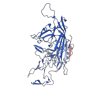 26393_7u97_y_v1-3
SAAV pH 4.0 capsid structure