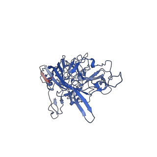 26393_7u97_z_v1-3
SAAV pH 4.0 capsid structure