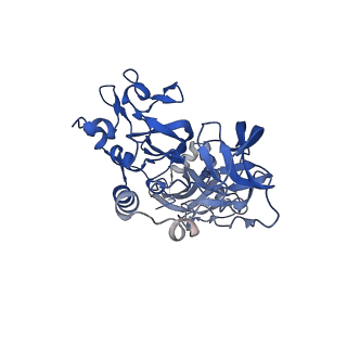 26397_7u9g_A_v1-0
Rabies virus glycoprotein pre-fusion trimer in complex with neutralizing antibody RVA122