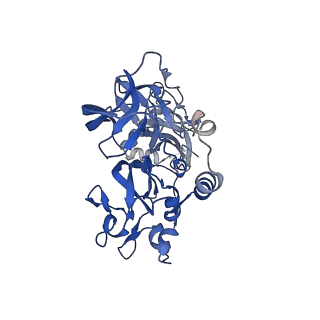 26397_7u9g_B_v1-0
Rabies virus glycoprotein pre-fusion trimer in complex with neutralizing antibody RVA122