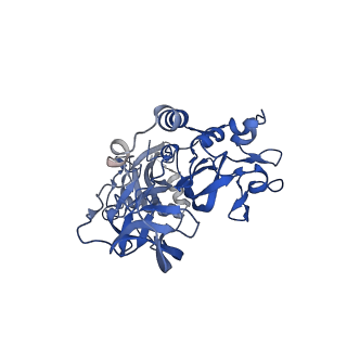 26397_7u9g_C_v1-0
Rabies virus glycoprotein pre-fusion trimer in complex with neutralizing antibody RVA122