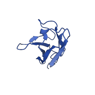 26397_7u9g_D_v1-0
Rabies virus glycoprotein pre-fusion trimer in complex with neutralizing antibody RVA122