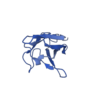 26397_7u9g_E_v1-0
Rabies virus glycoprotein pre-fusion trimer in complex with neutralizing antibody RVA122