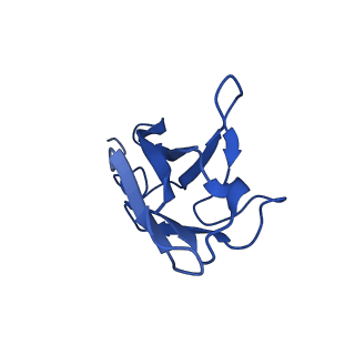 26397_7u9g_F_v1-0
Rabies virus glycoprotein pre-fusion trimer in complex with neutralizing antibody RVA122