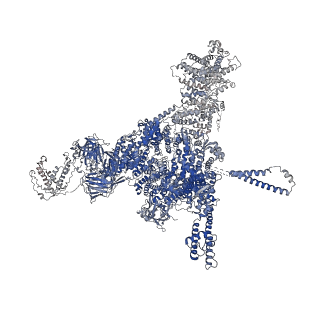 26405_7u9q_A_v1-0
Structure of PKA phosphorylated human RyR2 in the closed state