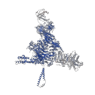 26405_7u9q_B_v1-0
Structure of PKA phosphorylated human RyR2 in the closed state