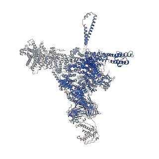 26405_7u9q_D_v1-0
Structure of PKA phosphorylated human RyR2 in the closed state