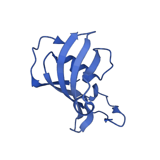 26405_7u9q_E_v1-0
Structure of PKA phosphorylated human RyR2 in the closed state