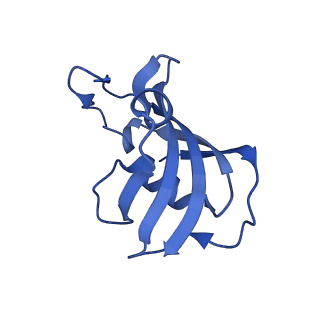 26405_7u9q_G_v1-0
Structure of PKA phosphorylated human RyR2 in the closed state