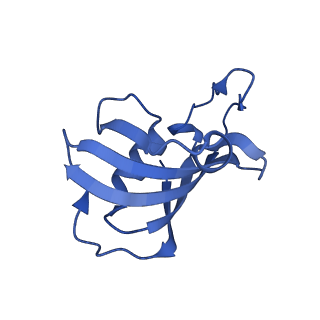 26405_7u9q_H_v1-0
Structure of PKA phosphorylated human RyR2 in the closed state