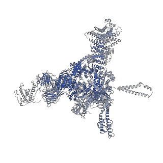 26407_7u9r_A_v1-0
Structure of PKA phosphorylated human RyR2 in the open state