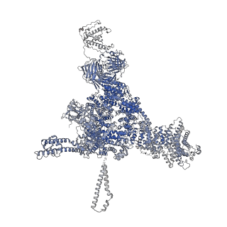26407_7u9r_B_v1-0
Structure of PKA phosphorylated human RyR2 in the open state