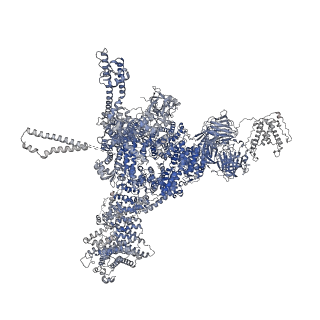 26407_7u9r_C_v1-0
Structure of PKA phosphorylated human RyR2 in the open state
