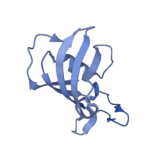 26407_7u9r_E_v1-0
Structure of PKA phosphorylated human RyR2 in the open state