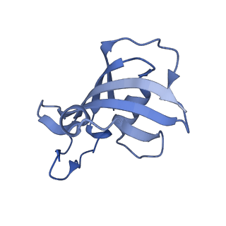 26407_7u9r_F_v1-0
Structure of PKA phosphorylated human RyR2 in the open state
