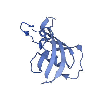 26407_7u9r_G_v1-0
Structure of PKA phosphorylated human RyR2 in the open state