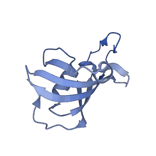26407_7u9r_H_v1-0
Structure of PKA phosphorylated human RyR2 in the open state