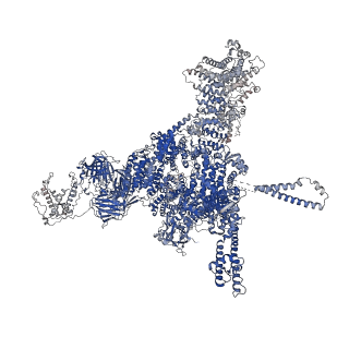 26408_7u9t_A_v1-0
Structure of PKA phosphorylated human RyR2 in the closed state in the presence of Calmodulin