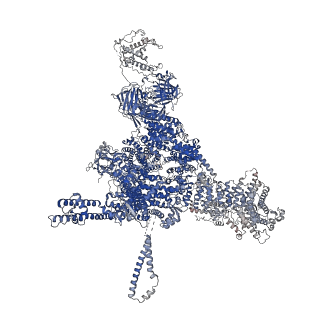 26408_7u9t_B_v1-0
Structure of PKA phosphorylated human RyR2 in the closed state in the presence of Calmodulin