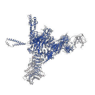 26408_7u9t_C_v1-0
Structure of PKA phosphorylated human RyR2 in the closed state in the presence of Calmodulin