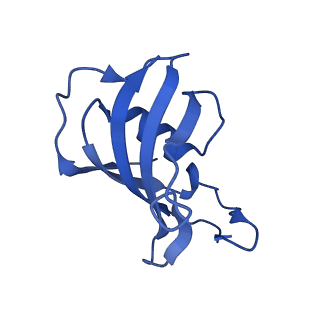 26408_7u9t_E_v1-0
Structure of PKA phosphorylated human RyR2 in the closed state in the presence of Calmodulin