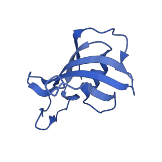 26408_7u9t_F_v1-0
Structure of PKA phosphorylated human RyR2 in the closed state in the presence of Calmodulin