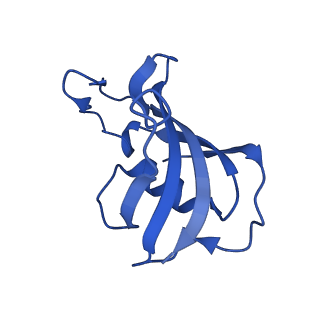 26408_7u9t_G_v1-0
Structure of PKA phosphorylated human RyR2 in the closed state in the presence of Calmodulin