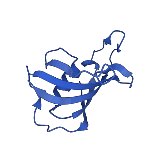 26408_7u9t_H_v1-0
Structure of PKA phosphorylated human RyR2 in the closed state in the presence of Calmodulin