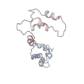 26408_7u9t_L_v1-0
Structure of PKA phosphorylated human RyR2 in the closed state in the presence of Calmodulin