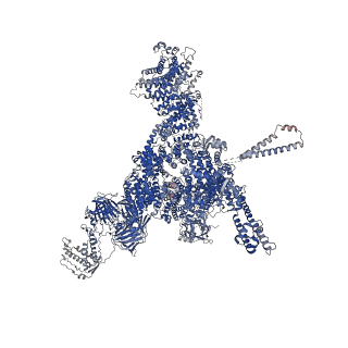 26409_7u9x_A_v1-0
Structure of PKA phosphorylated human RyR2-R2474S in the closed state