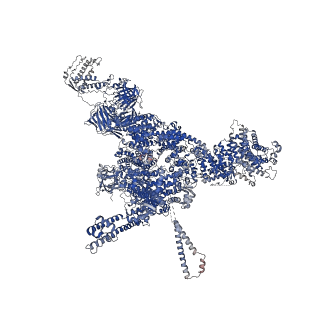 26409_7u9x_B_v1-0
Structure of PKA phosphorylated human RyR2-R2474S in the closed state