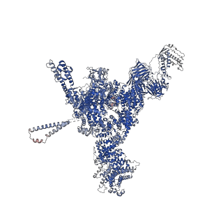 26409_7u9x_C_v1-0
Structure of PKA phosphorylated human RyR2-R2474S in the closed state