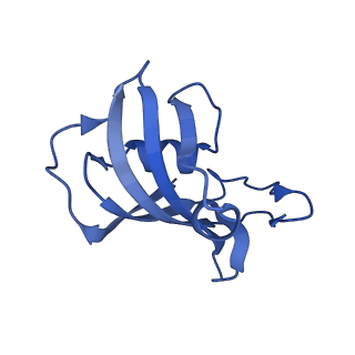 26409_7u9x_E_v1-0
Structure of PKA phosphorylated human RyR2-R2474S in the closed state