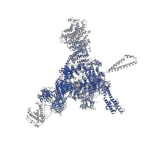 26410_7u9z_A_v1-0
Structure of PKA phosphorylated human RyR2-R2474S in the open state