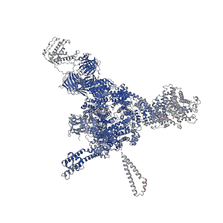 26410_7u9z_B_v1-0
Structure of PKA phosphorylated human RyR2-R2474S in the open state