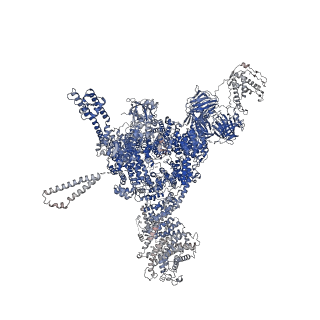 26410_7u9z_C_v1-0
Structure of PKA phosphorylated human RyR2-R2474S in the open state