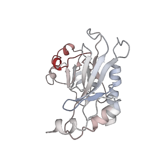 8521_5u9f_03_v1-4
3.2 A cryo-EM ArfA-RF2 ribosome rescue complex (Structure II)
