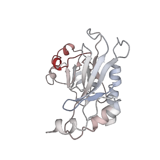 8521_5u9f_03_v1-5
3.2 A cryo-EM ArfA-RF2 ribosome rescue complex (Structure II)