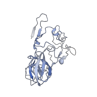 8521_5u9f_04_v1-4
3.2 A cryo-EM ArfA-RF2 ribosome rescue complex (Structure II)