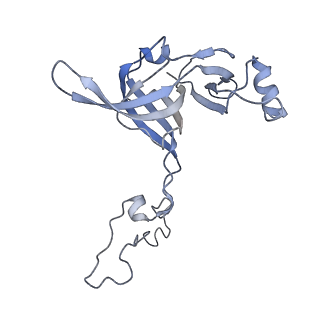 8521_5u9f_05_v1-4
3.2 A cryo-EM ArfA-RF2 ribosome rescue complex (Structure II)