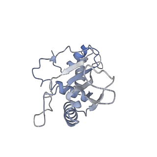 8521_5u9f_07_v1-4
3.2 A cryo-EM ArfA-RF2 ribosome rescue complex (Structure II)