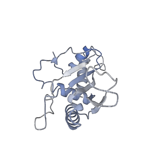 8521_5u9f_07_v1-5
3.2 A cryo-EM ArfA-RF2 ribosome rescue complex (Structure II)