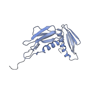8521_5u9f_08_v1-4
3.2 A cryo-EM ArfA-RF2 ribosome rescue complex (Structure II)