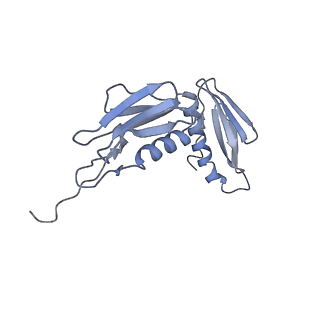 8521_5u9f_08_v1-5
3.2 A cryo-EM ArfA-RF2 ribosome rescue complex (Structure II)