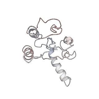 8521_5u9f_10_v1-4
3.2 A cryo-EM ArfA-RF2 ribosome rescue complex (Structure II)