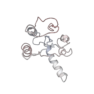 8521_5u9f_10_v1-5
3.2 A cryo-EM ArfA-RF2 ribosome rescue complex (Structure II)