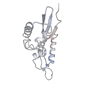 8521_5u9f_11_v1-4
3.2 A cryo-EM ArfA-RF2 ribosome rescue complex (Structure II)
